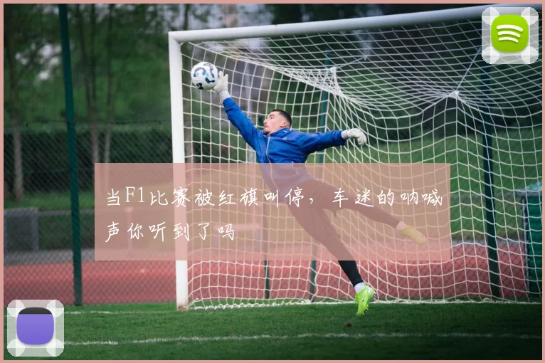 当F1比赛被红旗叫停,车迷的呐喊声你听到了吗