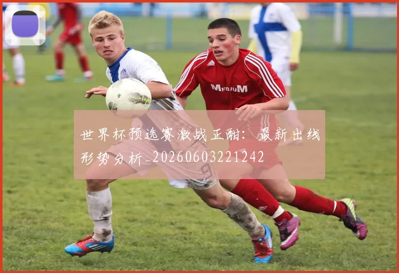 世界杯预选赛激战正酣：最新出线形势分析_20260603221242