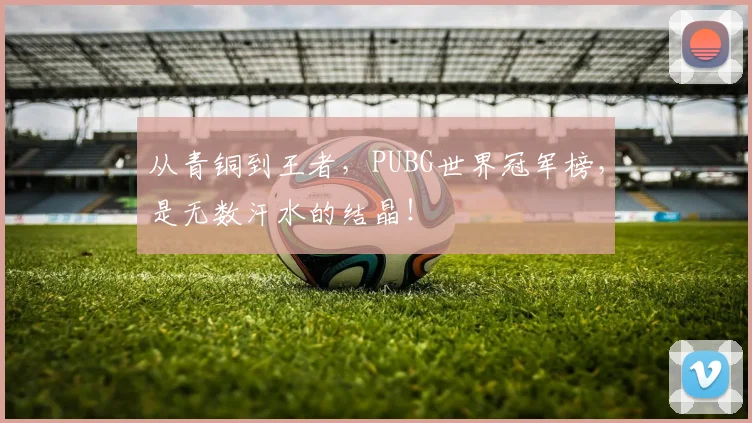 从青铜到王者,PUBG世界冠军榜,是无数汗水的结晶!