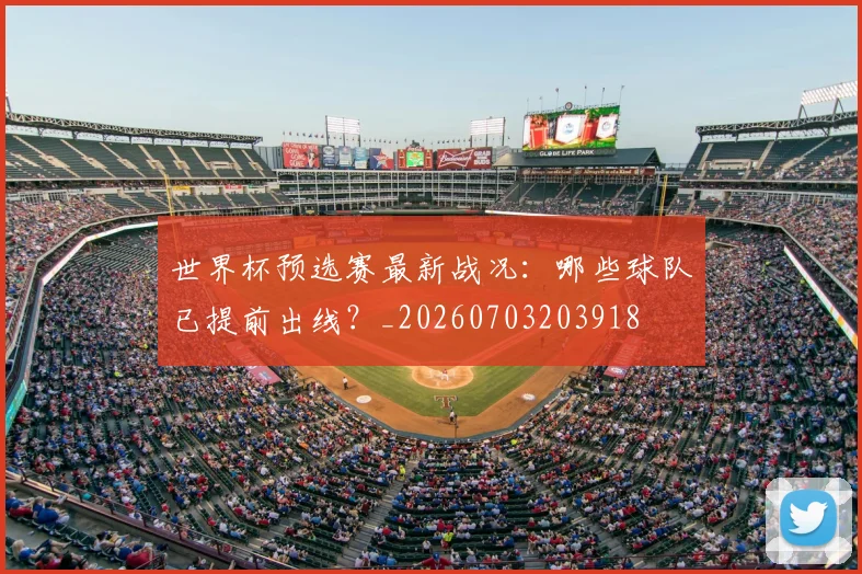 世界杯预选赛最新战况:哪些球队已提前出线?_20260703203918