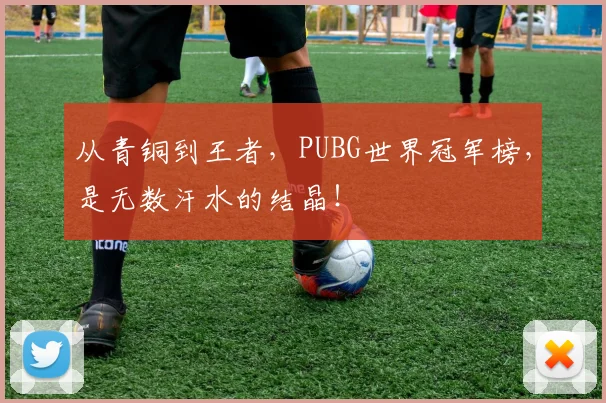 从青铜到王者,PUBG世界冠军榜,是无数汗水的结晶!